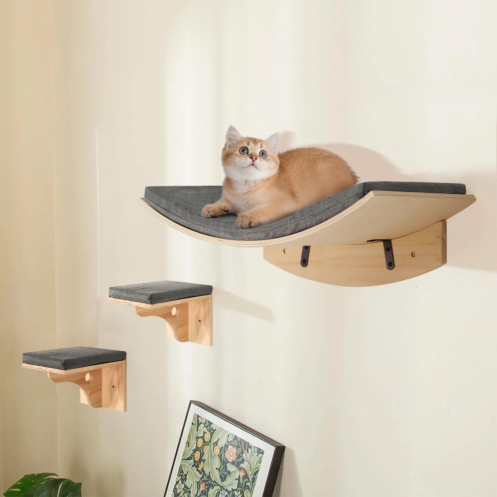 SoftPerch Cat Shelf