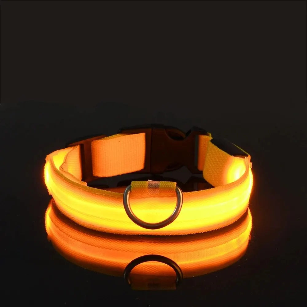 GlowTrack Collar