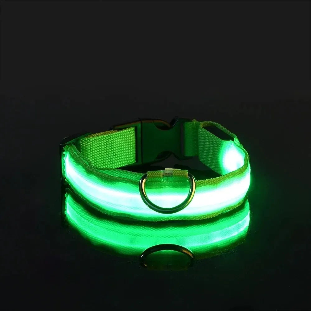 GlowTrack Collar