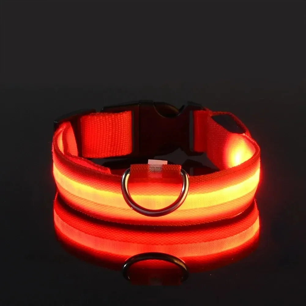 GlowTrack Collar