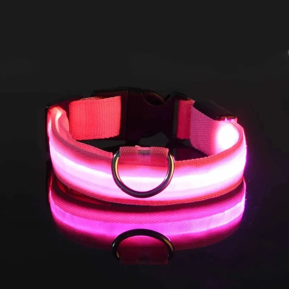 GlowTrack Collar