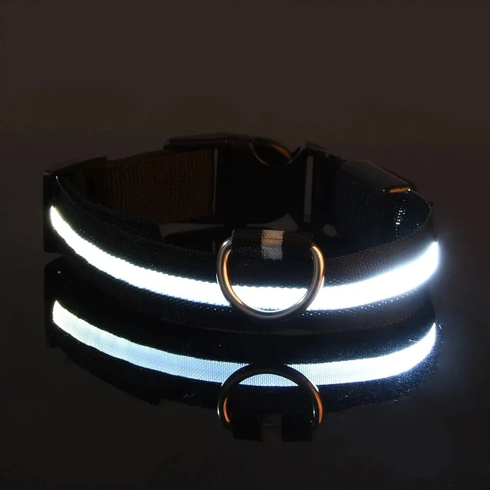 GlowTrack Collar
