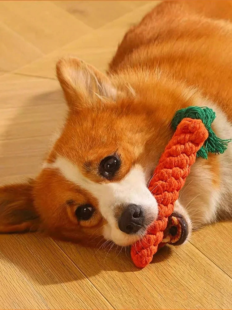 KnotChew Toy
