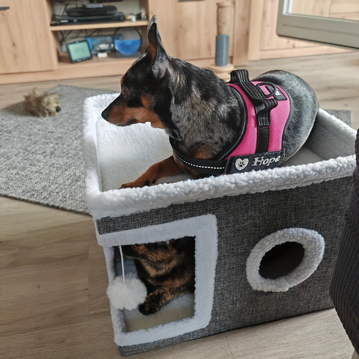 HavenClimb Cat Tower