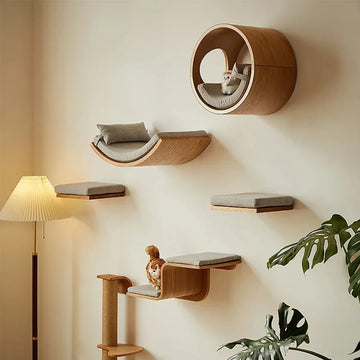 Padded Shelf for Cats