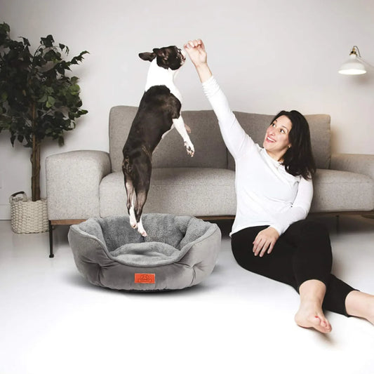 Pet Bed with Non-Slip Base
