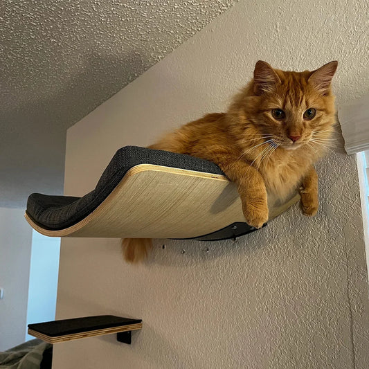 Padded Shelf for Cats