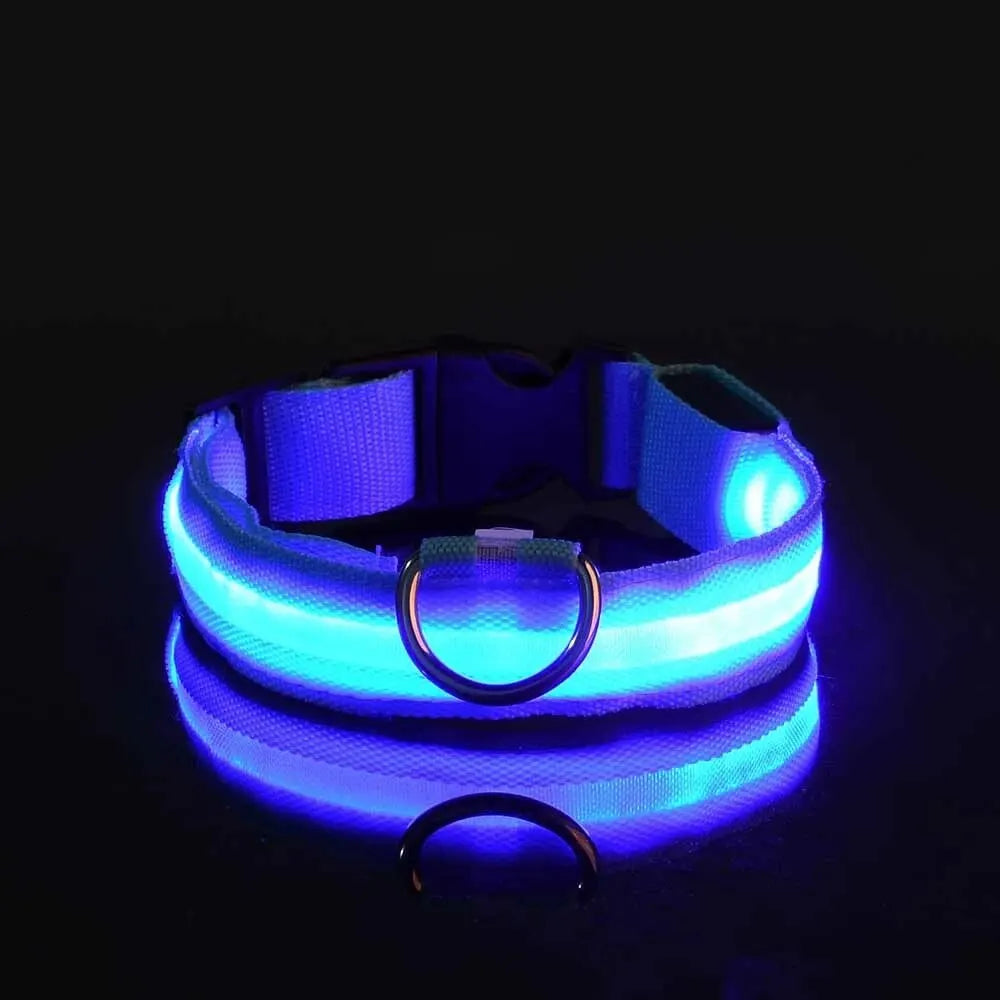 GlowTrack Collar