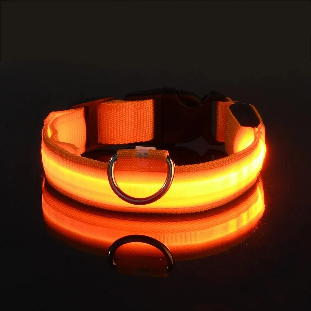 GlowTrack Collar