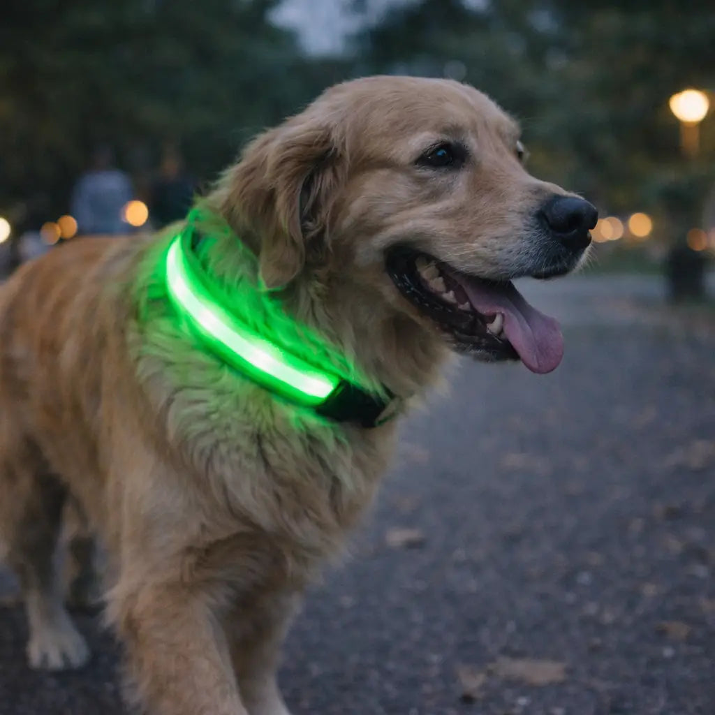 GlowTrack Collar